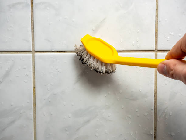 Best Commercial Mold Removal  in Elkhart, KS