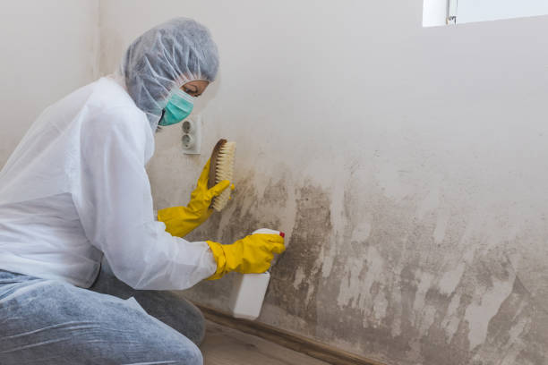 Best Crawl Space Mold Removal  in Elkhart, KS
