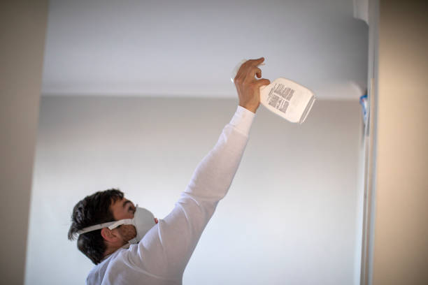 Best Residential Mold Removal  in Elkhart, KS