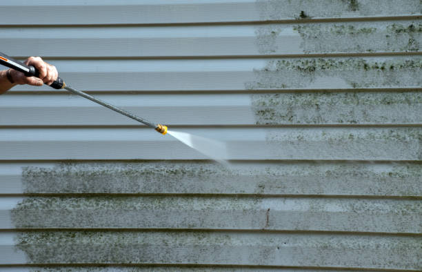 Mold Removal Process in Elkhart, KS