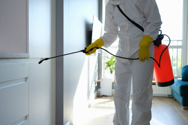 Best Emergency Mold Removal  in Elkhart, KS