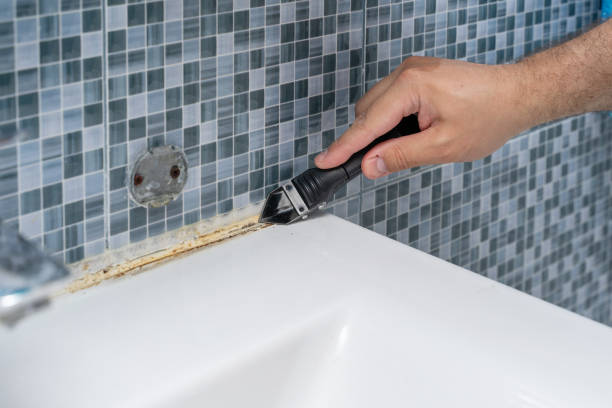 Best Home Mold Removal  in Elkhart, KS