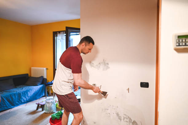 Best Best Mold Removal Companies  in Elkhart, KS